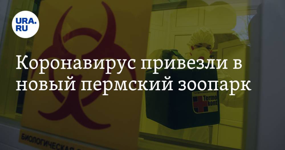 Коронавирус привезли в новый пермский зоопарк - ura.news - Россия - Пермь - Пермский край