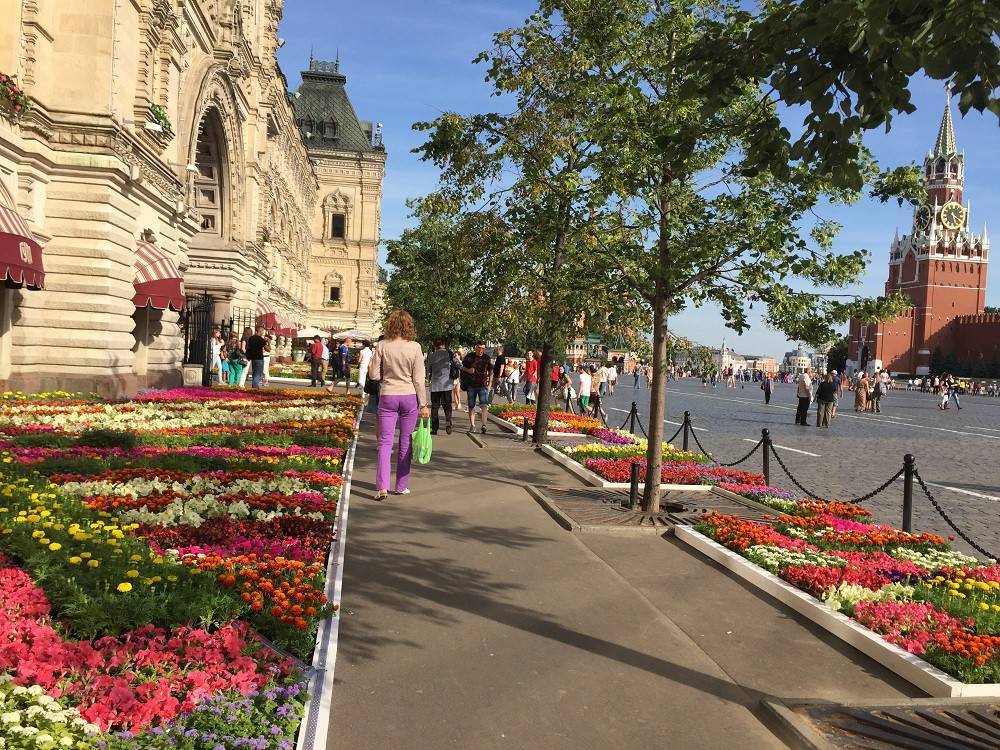 Михаил Леус - В Москве тепло и сыро: синоптики пообещали дожди - tvc.ru - Москва