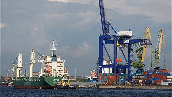 В порту Петербурга задержали 73 тонны контрабандного сыра из Европы - newtvnews.ru - Россия - Германия - Бронка - Петербурга