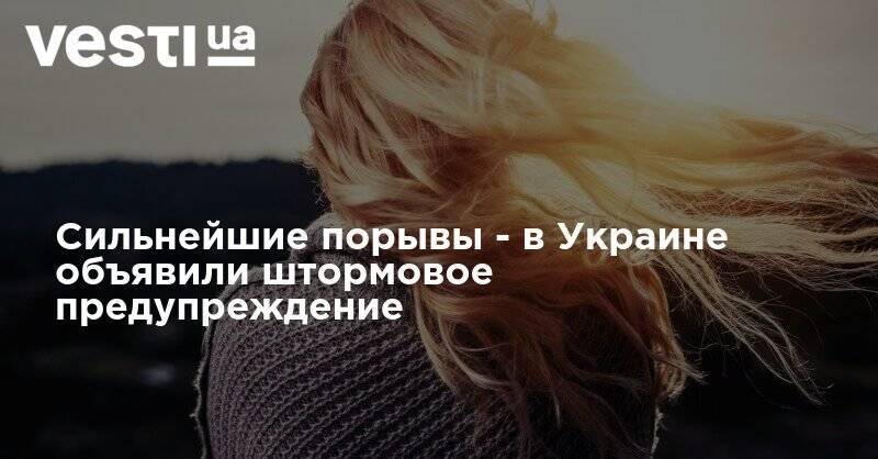 Сильнейшие порывы - в Украине объявили штормовое предупреждение - vesti.ua - Украина - Киев - Киевская обл. - Николаевская обл. - Одесская обл.