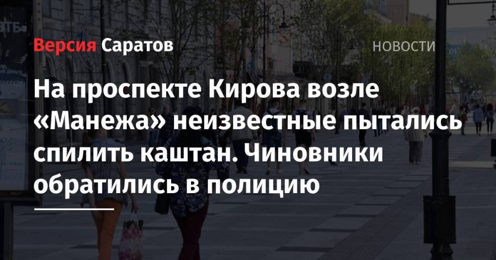 Михаил Исаев - На проспекте Кирова возле «Манежа» неизвестные пытались спилить каштан. Чиновники обратились в полицию - nversia.ru - Саратов