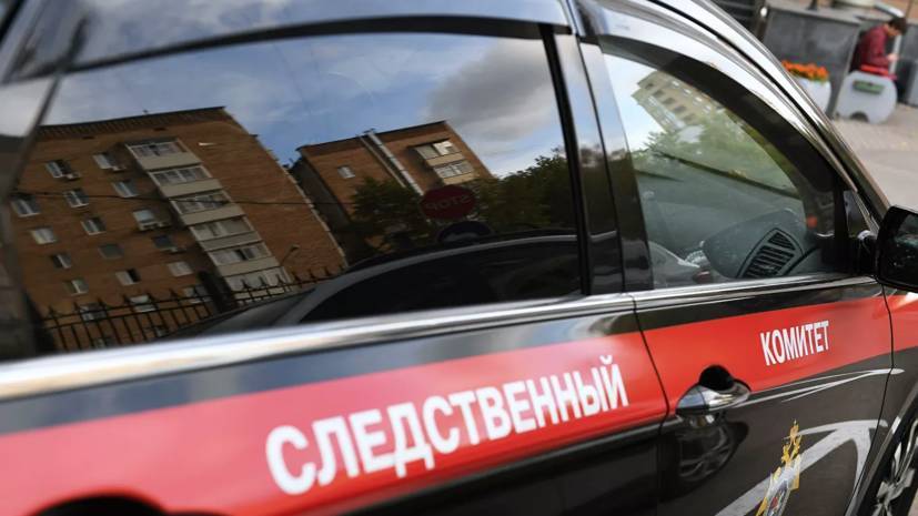 СК начал проверку из-за нападения на полицейских в Подмосковье - russian.rt.com - Москва - Московская обл. - Чехов