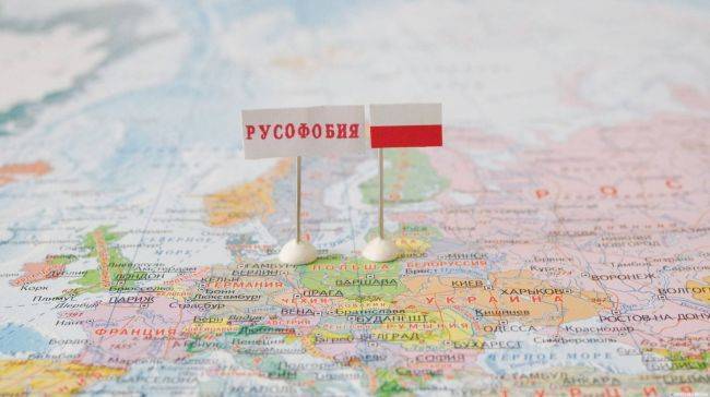 На грани абсурда — очередной фейк польских СМИ - eadaily.com - Россия - Германия