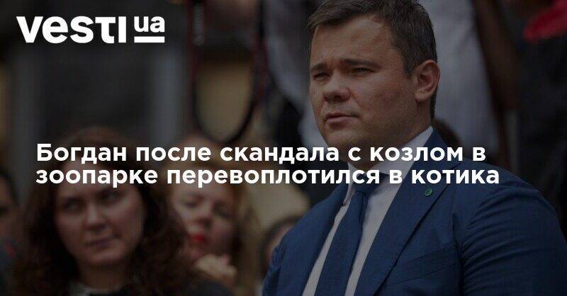 Андрей Богдан - Богдан после скандала с козлом в зоопарке перевоплотился в котика - vesti.ua - Украина