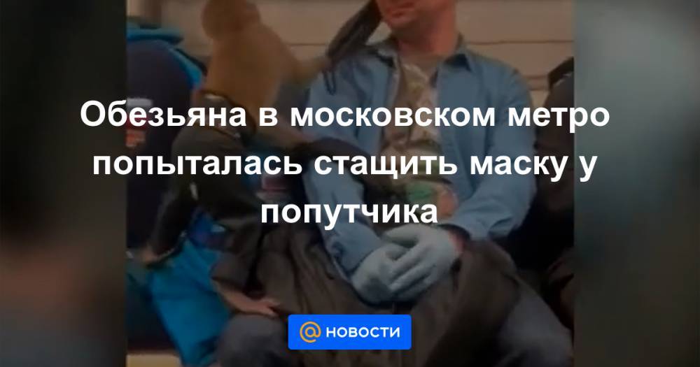 Сергей Собянин - Обезьяна в московском метро попыталась стащить маску у попутчика - news.mail.ru - Москва