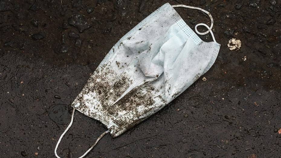Ольга Историк - В Ленобласти обнаружили шесть очагов COVID-19 - dp.ru - Ленинградская обл. - Санкт-Петербург - район Гатчинский - район Бокситогорский