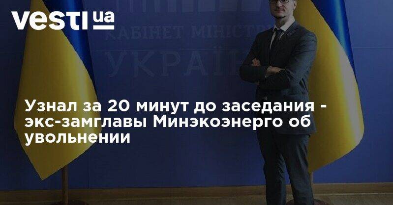 Узнал за 20 минут до заседания - экс-замглавы Минэкоэнерго об увольнении - vesti.ua