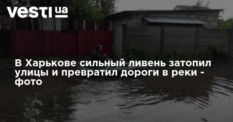 В Харькове сильный ливень затопил улицы и превратил дороги в реки - фото - vesti.ua - Украина - Одесса - Харьков