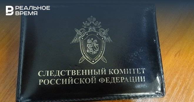 Следком РТ проверит должностных лиц, которые не отреагировали на жалобы об агрессивных алабаях - realnoevremya.ru - Россия - район Лаишевский - Татарстан