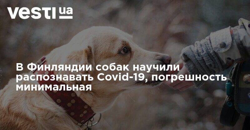 В Финляндии собак научили распознавать Covid-19, погрешность минимальная - vesti.ua - Финляндия - Хельсинки