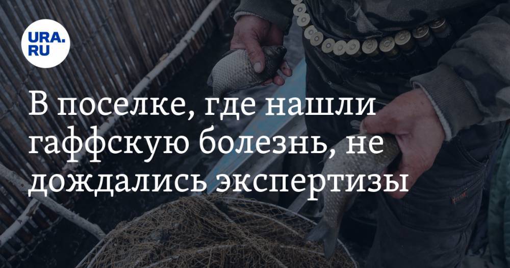 В поселке, где нашли гаффскую болезнь, не дождались экспертизы. Она должна была пройти в мае - ura.news