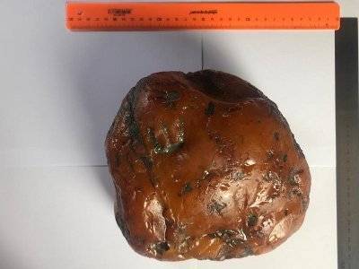 Уникальный янтарь назвали в честь будущей победы над COVID-19 - news.am - Москва - Россия - Армения - Калининград - Калининградская обл.
