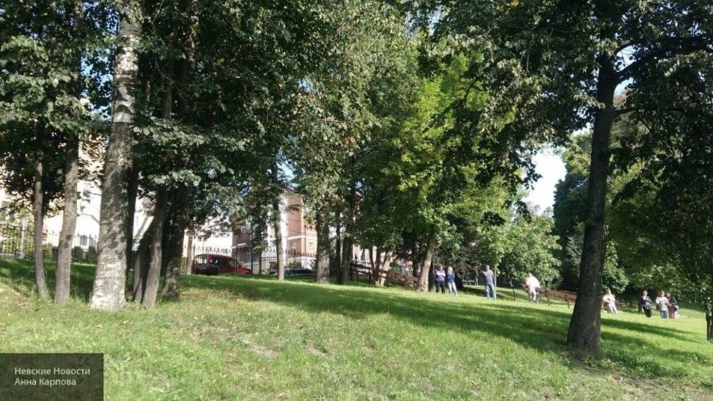 Губернатор Подмосковья разрешит прогулки в парках с 29 мая - inforeactor.ru - Московская обл.