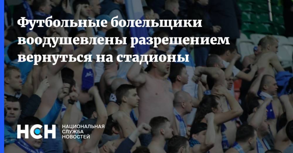 Дмитрий Чернышенко - Футбольные болельщики воодушевлены разрешением вернуться на стадионы - nsn.fm