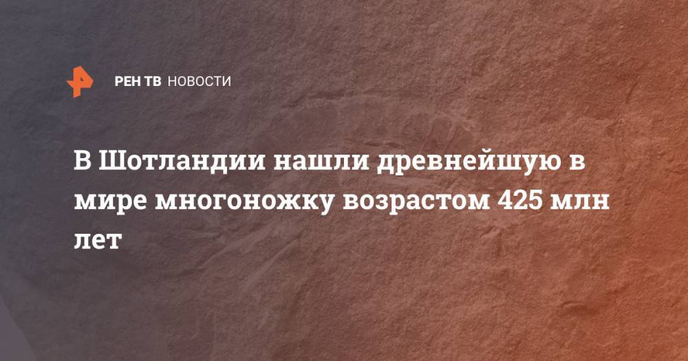 В Шотландии нашли древнейшую в мире многоножку возрастом 425 млн лет - ren.tv - Шотландия