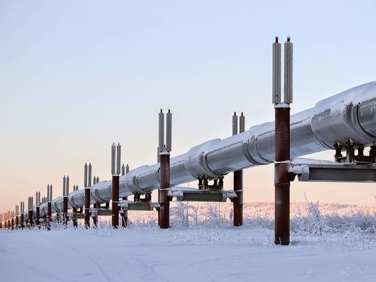 «Газпрому» предрекли потерю 1,5 трлн рублей из-за проблем с «Силой Сибири» - newtvnews.ru - Россия - Китай