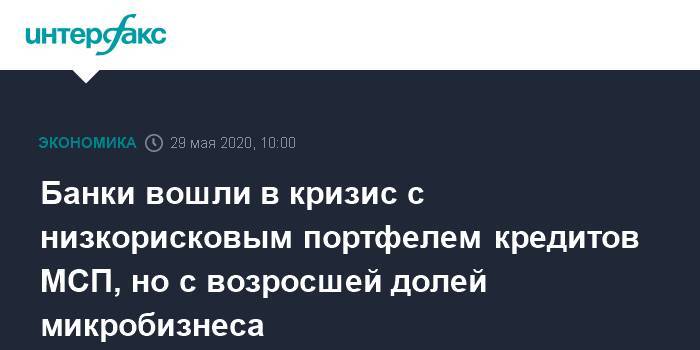 Банки вошли в кризис с низкорисковым портфелем кредитов МСП, но с возросшей долей микробизнеса - interfax.ru - Москва - Интерфакс