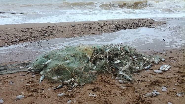 Пограничники вытащили из моря на западе Крыма 3 км незаконных сетей - crimea.ria.ru - Россия - Украина - Крым - Симферополь