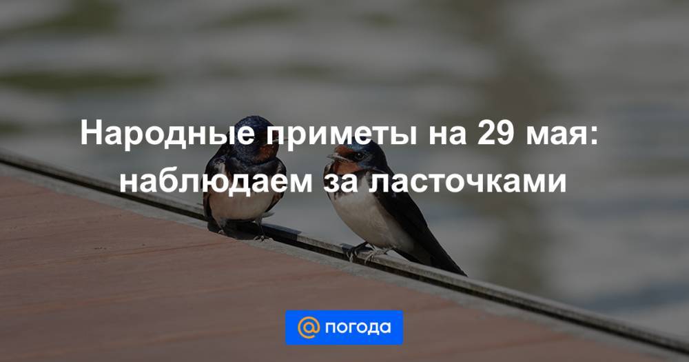Народные приметы на 29 мая: наблюдаем за ласточками - news.mail.ru