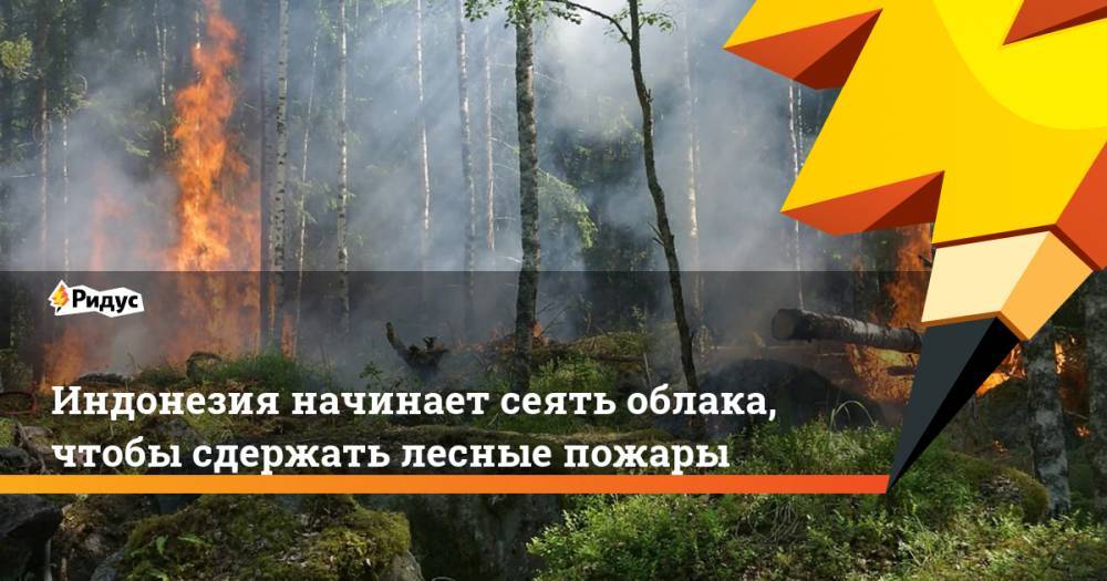 Индонезия начинает сеять облака, чтобы сдержать лесные пожары - ridus.ru - Индонезия