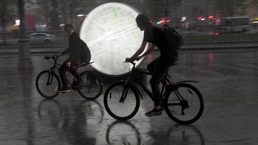 Евгений Тишковец - На Москву обрушится месячная норма осадков 31 мая - gazeta.ru - Москва