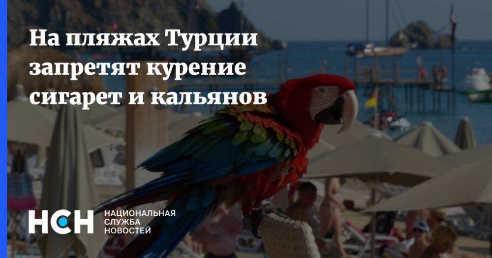 На пляжах Турции запретят курение сигарет и кальянов - nsn.fm - Турция