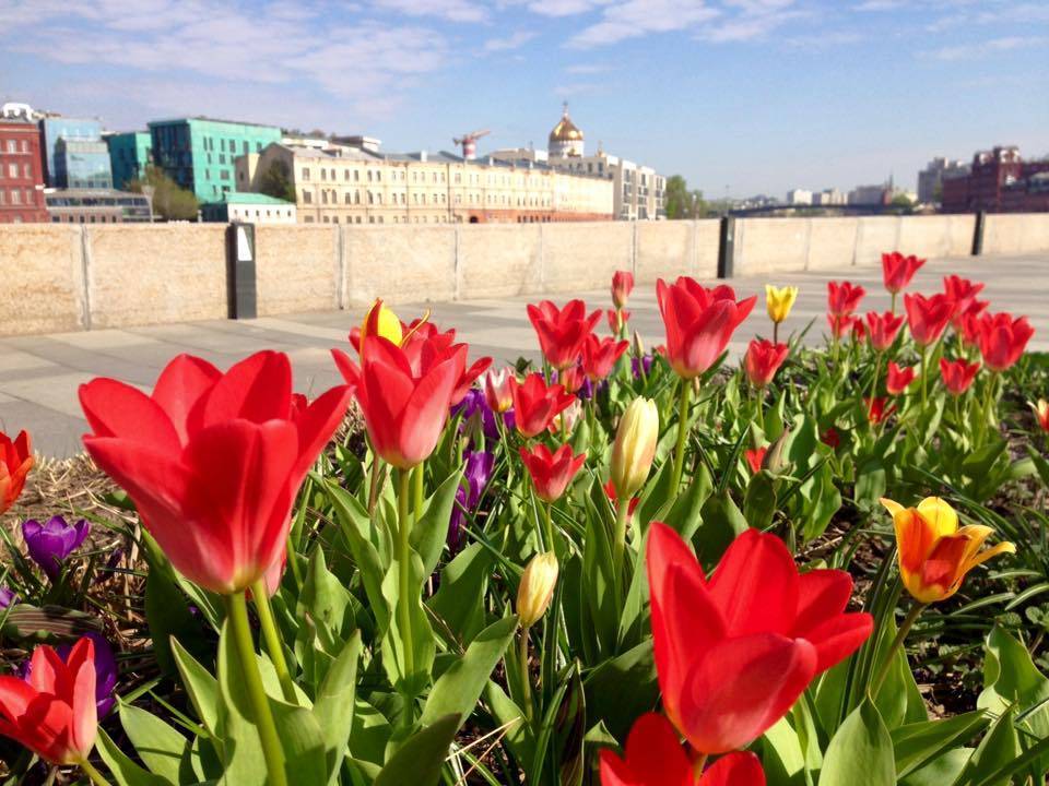 Евгений Тишковец - Москвичам пообещали настоящее лето на следующей неделе - tvc.ru - Москва