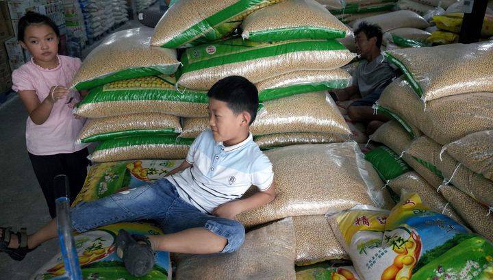Дональд Трамп - Китай может сократить импорт сельскохозяйственной продукции из США - vesti.ru - Китай - США - Вашингтон - Гонконг - Гонконг