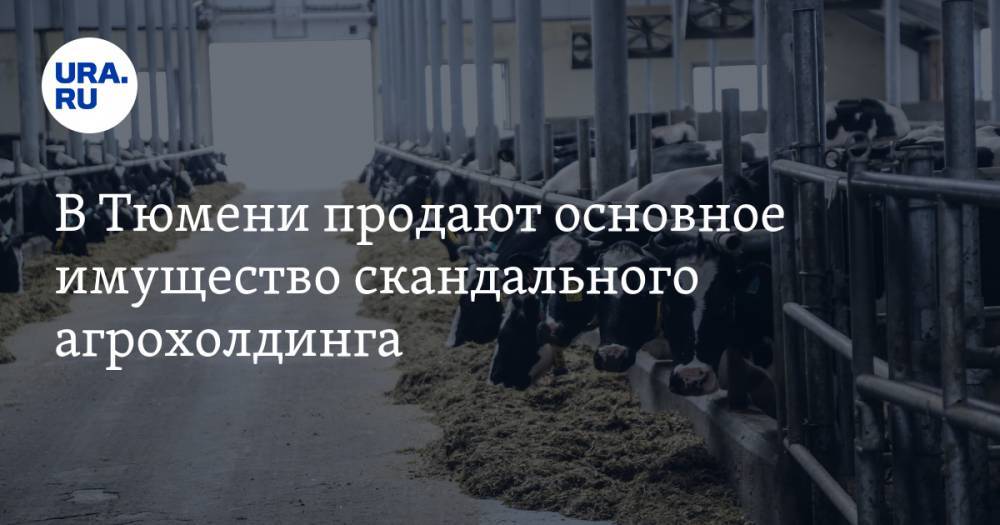 В Тюмени продают основное имущество скандального агрохолдинга - ura.news - Тюмень