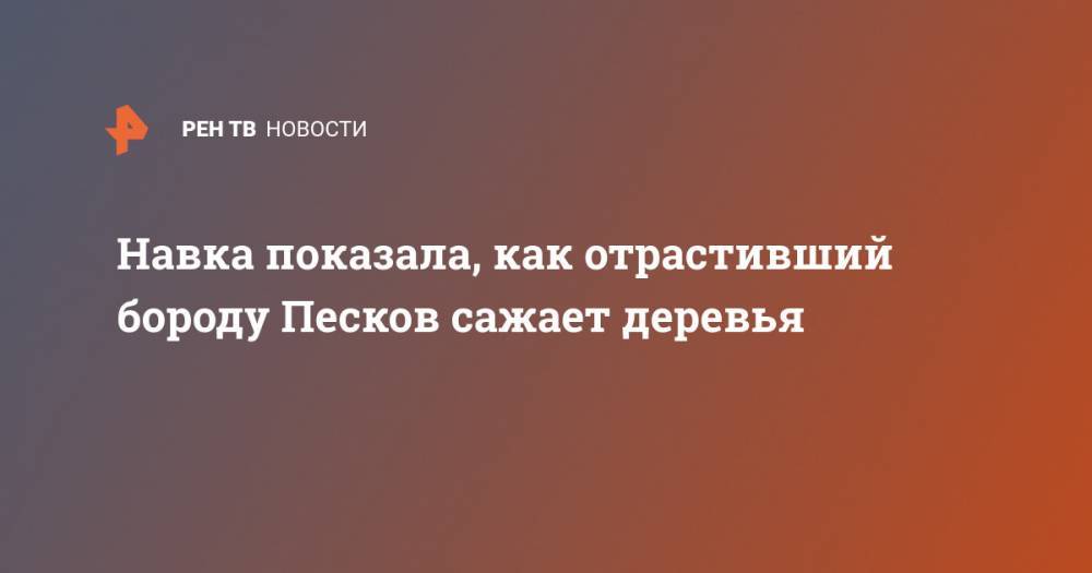 Дмитрий Песков - Татьяна Навка - Навка показала, как отрастивший бороду Песков сажает деревья - ren.tv - Россия