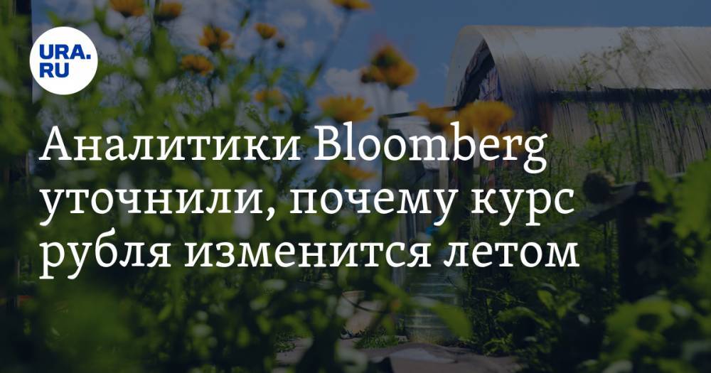 Софья Донец - Михаил Мишустин - Аналитики Bloomberg уточнили, почему курс рубля изменится летом - ura.news - Россия