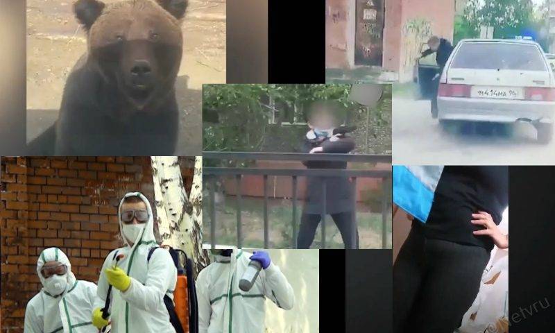 Самые интересные видео 29 мая - bloknot.ru - Россия - Екатеринбург - Свердловская обл.