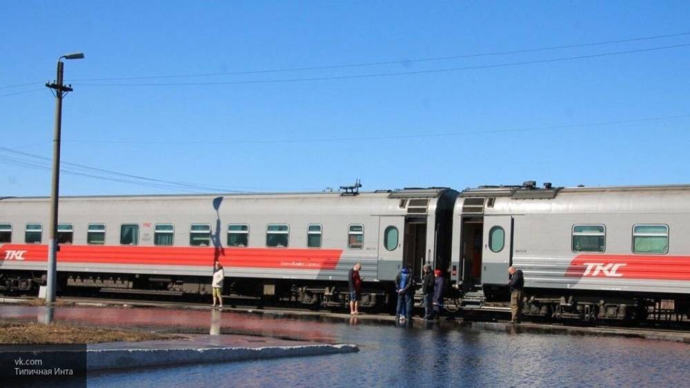 Полиция в Ленобласти завела уголовное дело о "минировании" поезда у станции "Ушаки" - nation-news.ru - Ленинградская обл. - Владивосток