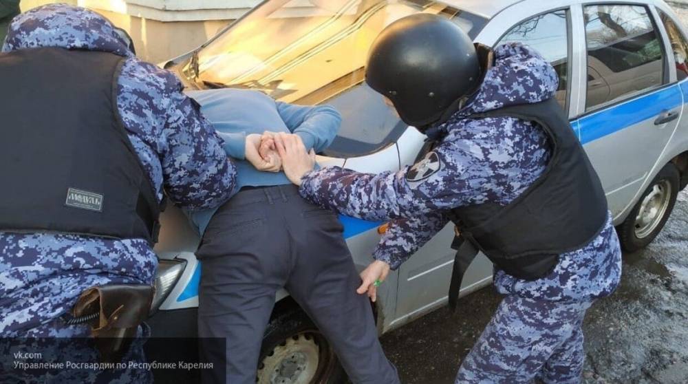 Владислава Грин - Полицейские задержали липецкого закладчика с тысячей таблеток экстази - nation-news.ru - Москва - Орел - Тамбов - Липецкая обл.