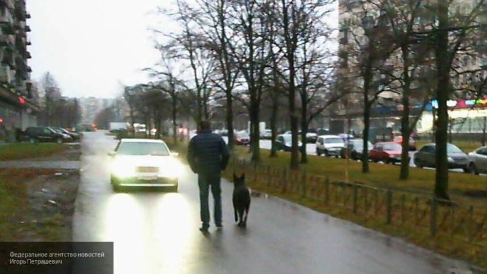 Мария Базарева - Погоня BMW за велосипедистом по тротуару в Петербурге попала на видео - nation-news.ru - Москва - Санкт-Петербург