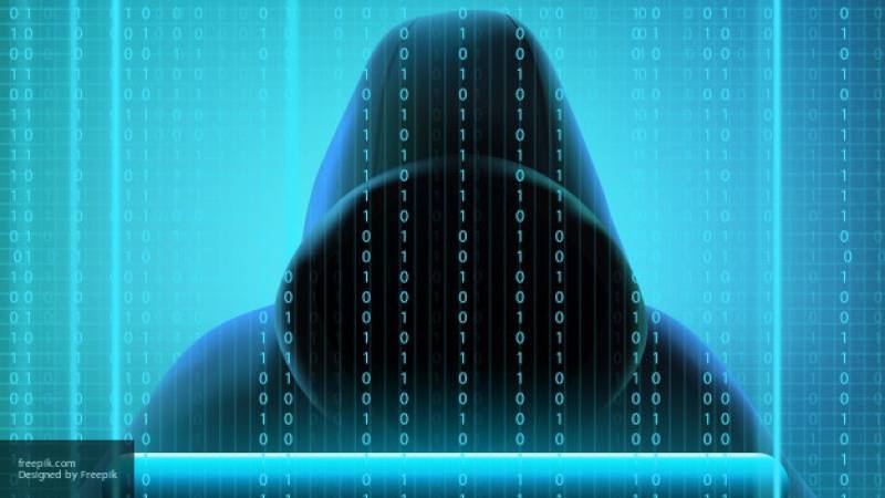 Сергей Цеков - В даркнете выставили на продажу аккаунты из приложения Zoom - nation-news.ru - Россия
