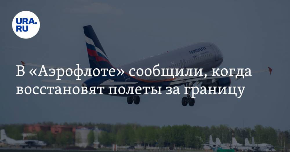 Юлия Спивакова - В «Аэрофлоте» сообщили, когда восстановят полеты за границу - ura.news - Россия