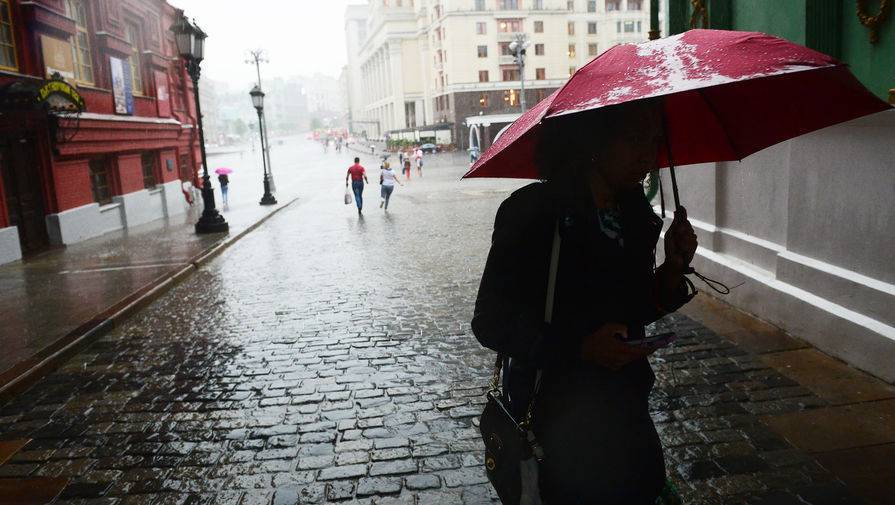 В Москве во время дождя было повалено 50 деревьев и повреждено 20 машин - gazeta.ru - Москва