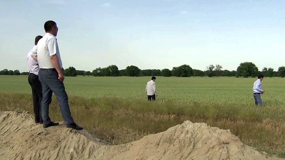 Война с саранчой сразу в нескольких регионах России - 1tv.ru - Россия - респ. Дагестан - Астраханская обл. - респ. Калмыкия - Ставрополье