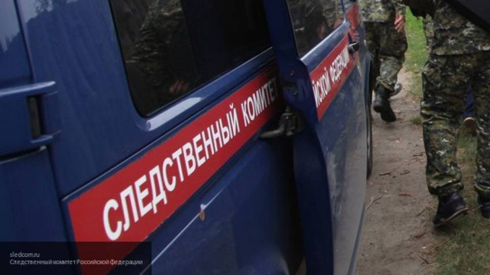 Мария Базарева - Следком подключился к поиску пропавшего месяц назад в Перми мужчины - nation-news.ru - Пермь - Пермский край