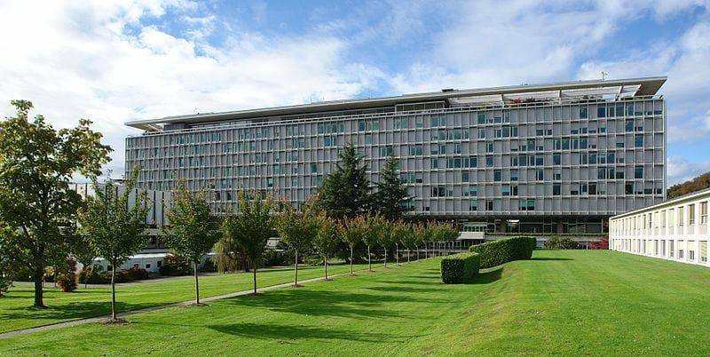 Дональд Трамп - Мелита Вуйнович - ВОЗ оценивает ущерб из-за разрыва отношений с США - Cursorinfo: главные новости Израиля - usa.one - Россия - США - Израиль