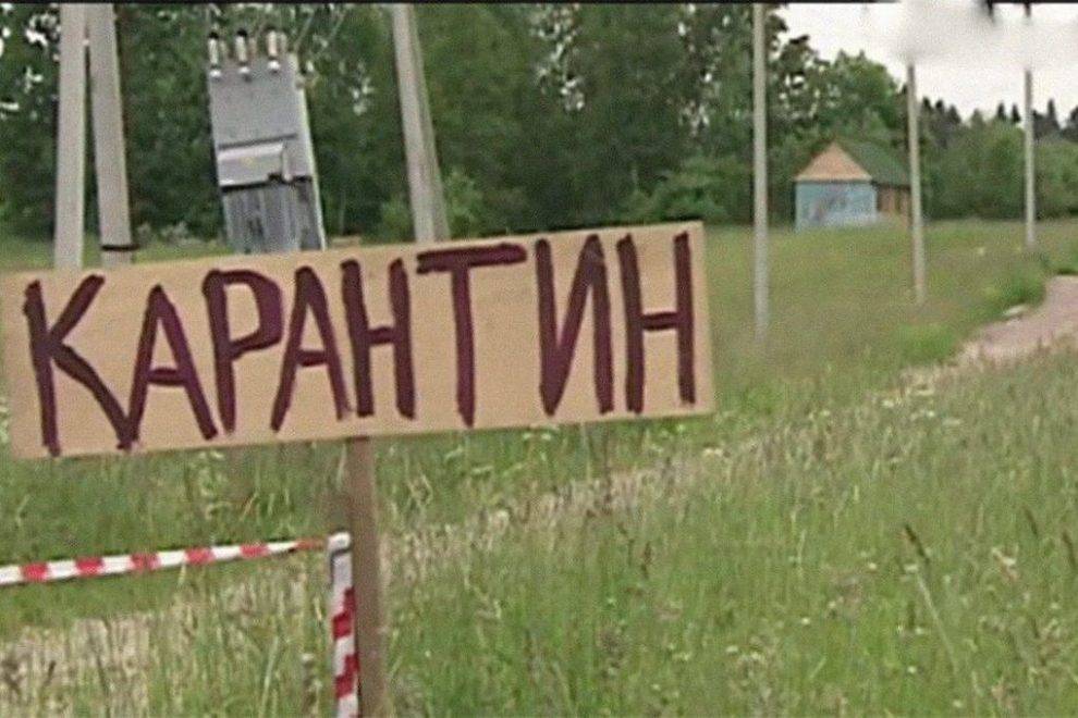 В Балезинском районе ввели карантин из-за коронавируса - gorodglazov.com - район Балезинский - Удмуртия