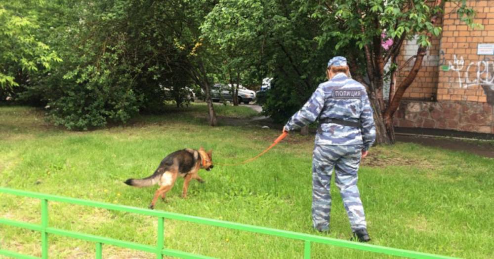 Напавшие на инкассаторов преступники похитили около 3 млн рублей - ren.tv - Красноярск