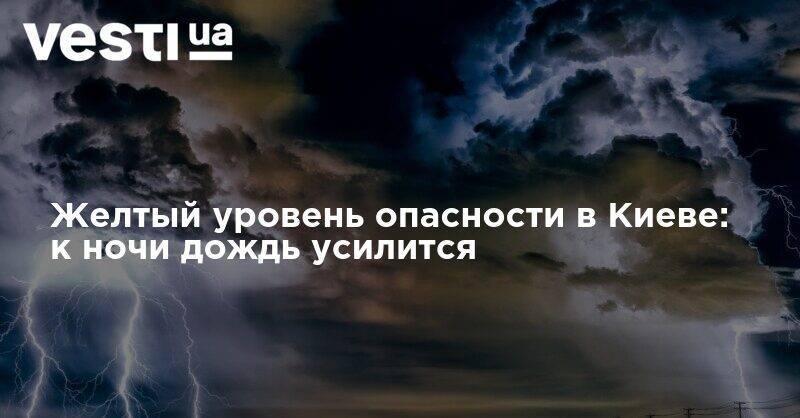Желтый уровень опасности в Киеве: к ночи дождь усилится - vesti.ua - Украина - Киев - Столица - Гсчс