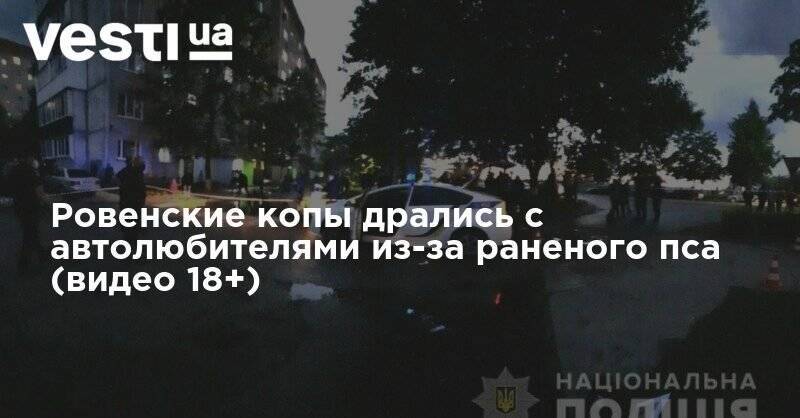 Ровенские копы дрались с автолюбителями из-за раненого пса (видео 18+) - vesti.ua