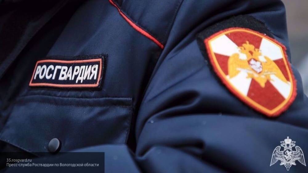 Росгвардия проводит онлайн-викторину для школьников на знание основ безопасности - politros.com