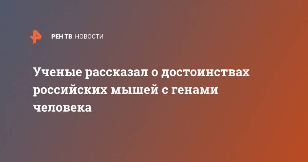 Ученые рассказал о достоинствах российских мышей с генами человека - ren.tv - Россия