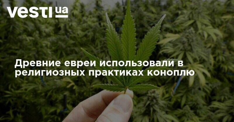 Древние евреи использовали в религиозных практиках коноплю - vesti.ua - Израиль - Тель-Авив