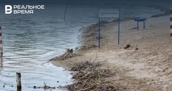 В Татарстане мужчина утонул после отдыха на природе - realnoevremya.ru - Россия - респ. Татарстан