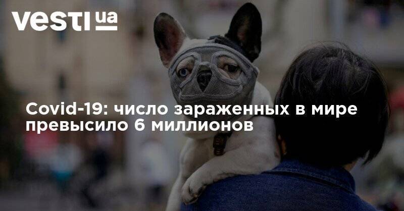 Covid-19: число зараженных в мире превысило 6 миллионов - vesti.ua - Китай - США - Украина - Англия